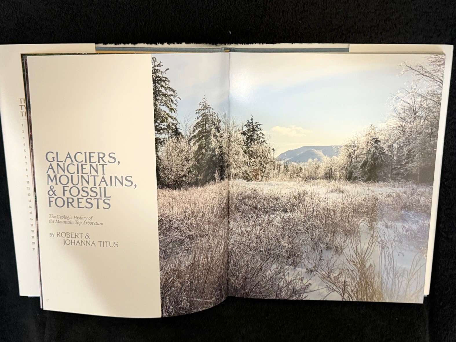 Open photography book showing a winter landscape spread